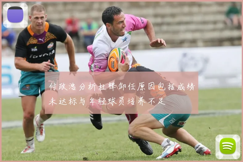 付政浩分析杜锋卸任原因包括成绩未达标与年轻球员培养不足